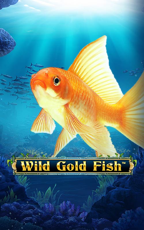 Wild Gold Fish game from SPINOMENAL